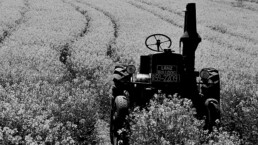 Vecchio trattore in un campo di fiori, rappresenta un'immagine di Farina di Basalto a Fieragricola 2020