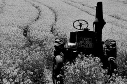 Vecchio trattore in un campo di fiori, rappresenta un'immagine di Farina di Basalto a Fieragricola 2020