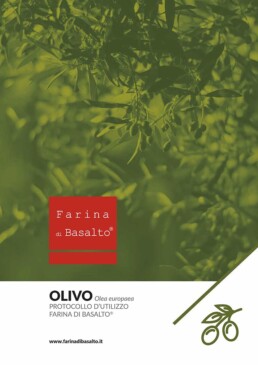 Scheda con protocollo d'uso e dosaggi Farina di Basalto per olivo e olivicoltura