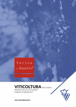 Scheda con protocollo d'uso e dosaggi Farina di Basalto per vite e viticoltura