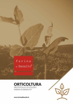 Scheda con protocollo d'uso e dosaggi Farina di Basalto per orto e orticoltura