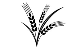 Icona Farina di Basalto per frumento e cerealicoltura