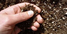 Agricoltore con le mani nel terreno, tecnica Hand on Soil, cosa coltivare a gennaio