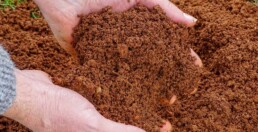 Mani nella terra fertile a rappresentare il risultato della tecnica Hand on Soil