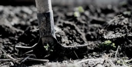orticoltura: vangare l'orto a febbraio