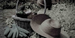 Strumenti per coltivare l'orto a marzo, cesto, cappello da ortolano, guanti