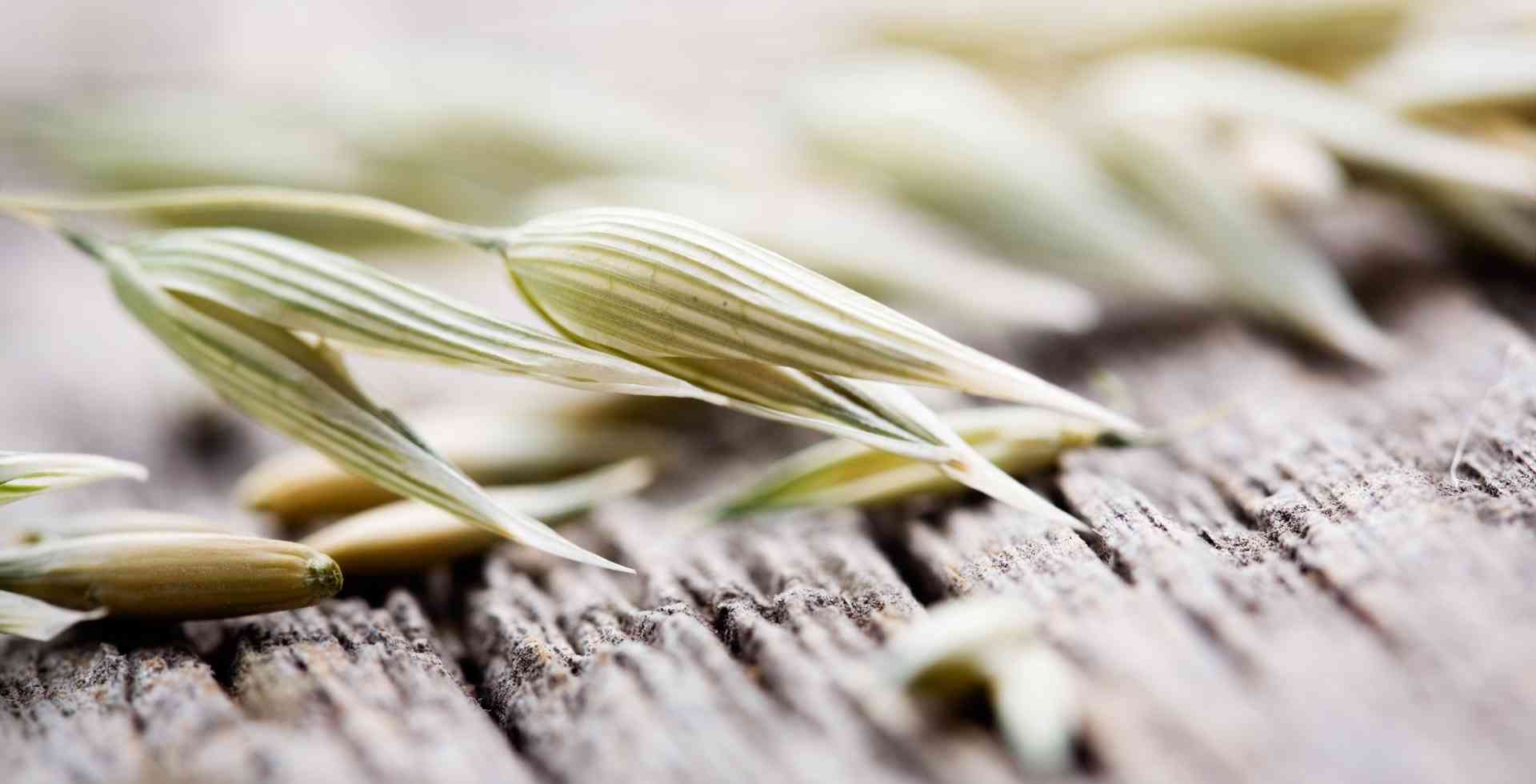 Semi di avena su un tavolo di legno prima della concia