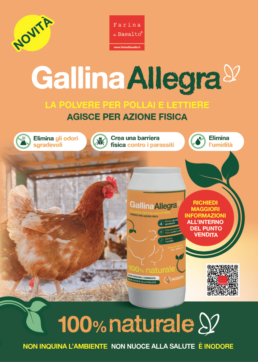 Locandina Gallina Allegra