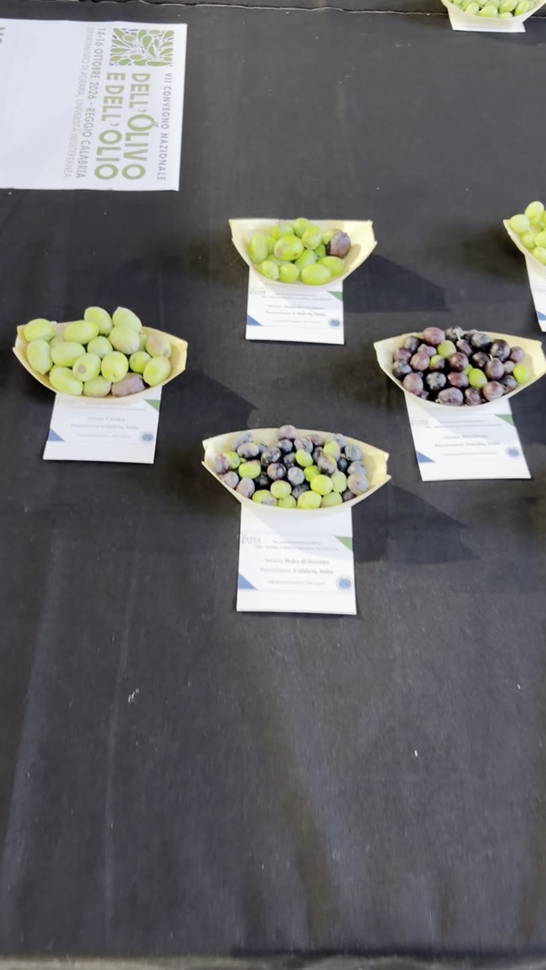 Campioni di olive in mostra al VII Convegno Nazionale dell'Olivo e dell'Olio